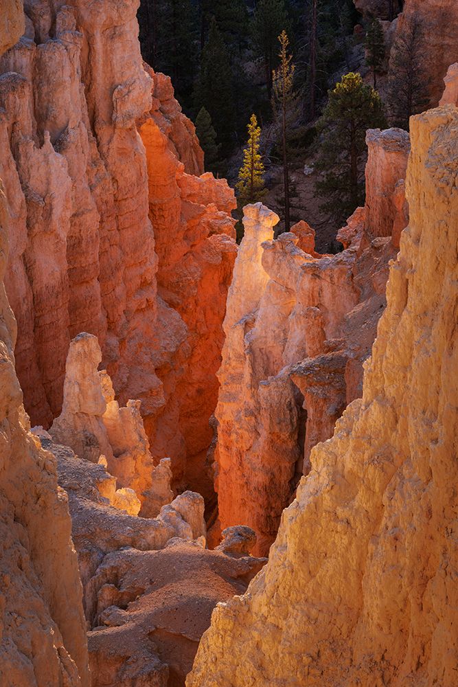 Sunrise at Bryce Canyon National Park, Utah